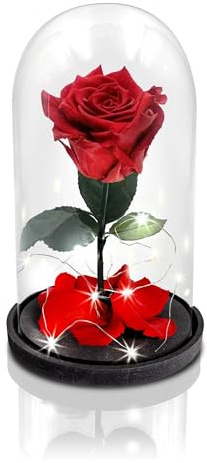 Aluisi Fiori – Rosa La Bella e La Bestia Rossa – Base in Legno Nero con LED – Rosa Stabilizzata Perfetta per San Valentino o dichiarazioni d’Amore.