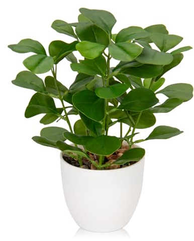 Briful Kunstpflanze Wie Echt Künstliche Ficus Pflanzen im Topf Kleine Dekopflanze für Fensterbank Wohnzimmer Badezimmer Dekoration