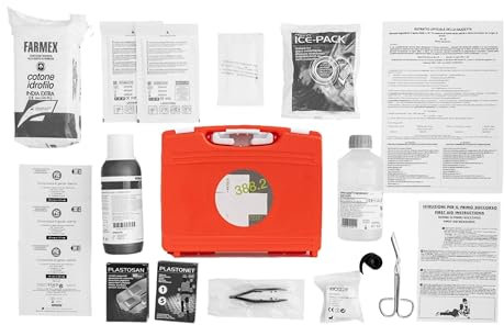 ecocar - Valigetta Pronto Soccorso – FIRST AID KIT 18 pezzi (Allegato 2) - per B&B, Veicoli, Commerciali e Industriali, Azienda - a Norma DM388 15 luglio 2003 - con Supporto Incluso - Made in Italy