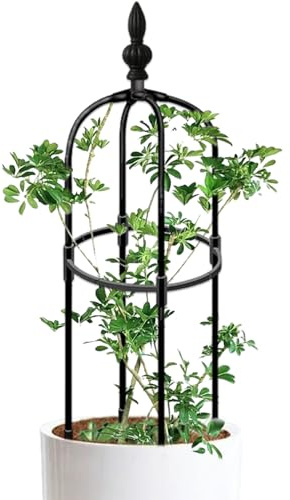 Traliccio da giardino obelisco alto 90 cm, rotondo, antiruggine, traliccio da giardino, pianta rampicante fai da te, facile da montare, per vasi, piante rampicanti da interni.