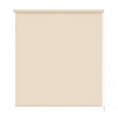 Estoralis Gove Tenda a Rullo Traslucida Liscia, Poliestere, Beige, 150 x 230 cm