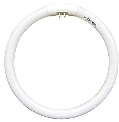 Dameiol 7.25 inch T5 22W Circular Bulb Light Replacement for Floxite, Zadro, Rialto Makeup Magnifying Vanity Mirror, FC22 Surround Fluorescent Lamp 6500K Daylight