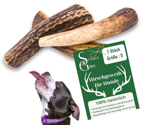 Bois de cerf pour Chien a Macher Entier (1 pièce). Friandise pour Chiots et Chiens de Tout âges. Jouet Occupation. Jouet de Mastication. Soins Dentaire idéal (S)