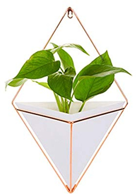Los titulares Planta de Hierro acrílico Tiesto Set Colgante de Interior del florero decoración de la Pared S Blanco