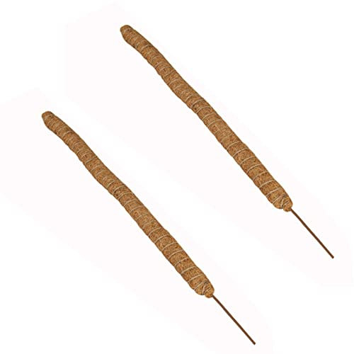 Bâtons de mousse flexibles pour plantes grimpantes - Fabriqués à la main pour les tiges d'intérieur - Plantes philodendron