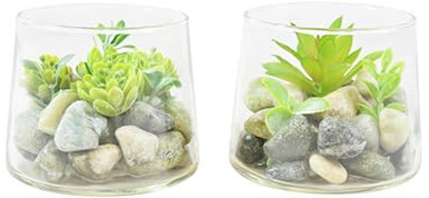 CHICCIE 2er Set Sukkulenten im Glas Steine 10x10x8cm Künstliche Zimmerpflanze