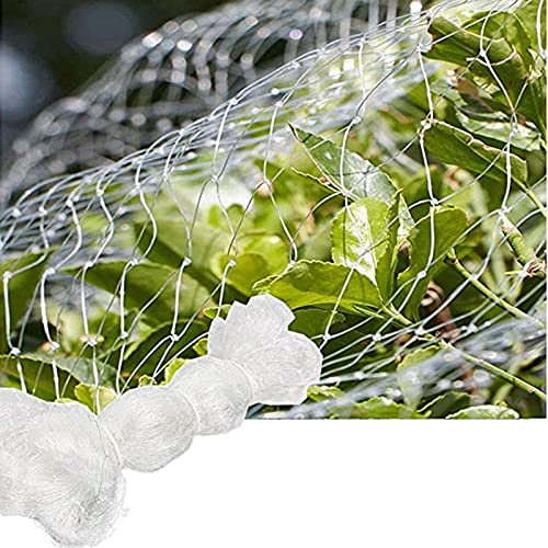Filet de protection réutilisable pour plantes de jardin - Protège les semis des oiseaux et des rongeurs - Filet de protection anti-oiseaux pour arbres fruitiers et légumes - Maille translucide de 2,5