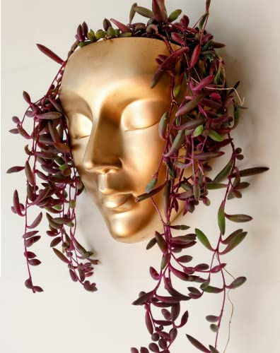 Bossa Linda Wand-Pflanzgefäß für Gesicht, 7 Farben erhältlich, perfekt als Sukkulenten-Wand-Pflanztopf oder Kaktus-Pflanztopf – Calma-Design, goldfarben