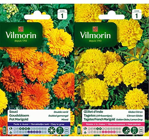 Vilmorin 5791041 Souci Double varie, Multicolore, 90 x 2 x 160 cm & 5442141 Œillet, Jaune, 90 x 2 x 160 cm