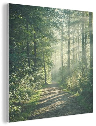 MuchoWow© Wandbilder aus Filz Schlafzimmer Home Deko Wohnung Bild | 90x90 cm - Wohnzimmer Filzbild Wand Bilder Wanddeko Wall Decor Wald - Sonne - Pfad - Bäume - Grün - Natur