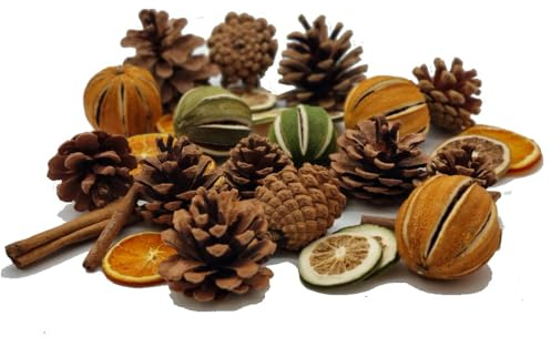 Rainbow Eco Play Natural Christmas Festive Set, Wreath Making & Décor | Complete natural decoration set with pine cones, dried citrus fruit & cinnamon for festive displays & seasonal craft projects
