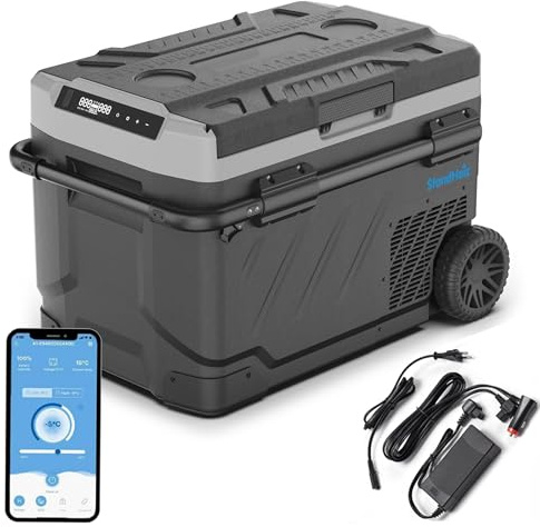 Kompressor kylbox 41 l – bärbar minikylskåp med hjul och teleskophandtag, 12 V/24 V/230 V för bil, camping och husbil, appkontroll, dubbel zon, svart-grå