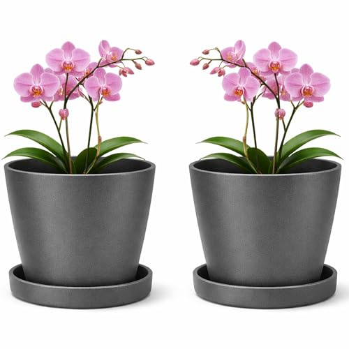 PECZEKO Vaso opaco, vaso in plastica, vaso decorativo per piante grandi e piccole, set di 2 pz. con piedistalli, vaso/vaso per erbe, antracite, ø 25 cm