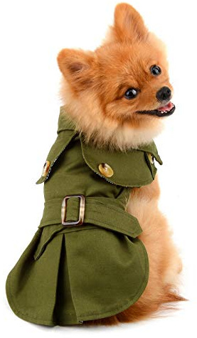 PAIDEFUL Trenchcoat för husdjur för små hundar flicka pojke vindtät mode västerländsk jacka bältad ytterkläder höst vinter hundkläder för valp chihuahua yorkie, armégrön, storlek XL