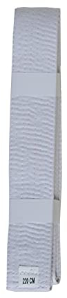 Lisaro kampfsportgürtel Karate Judo Taekwondo Ju Jutsu BJJ Gürtel Gr. 160-320 cm (Weiss, 220)