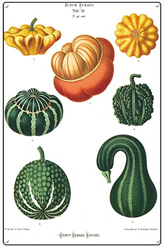 Graman Metal Tin Retro Sign Ornamental gourds botanical Kitchen Wall Art Vintage Metal Tin Signs Home Bar Shop Decorations Coffee Sign Gift 12x16 Inch