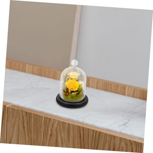 FONDOTIN 1pc Preserved Flower Glass Cloche Base Elegant Cake Display Cover for Weddings and Special Occasions Glass and Materials for Home Decor and Aesthetic Decorations