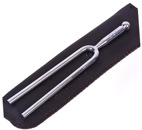 Internationale in Silber Stimmgabel aus Edelstahl Standard | Saiteninstrumente, Präzises Tuning, mit Aufbewahrungstasche und Schale