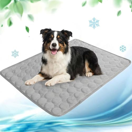 OFFASST Kühlmatte für Hunde & Katzen, SelbstKühlende Hundematte & Kühlkissen Waschbar für Zuhause, Auto & Reise - Kühldecke für Haustiere wie Katzen (100x70cm)