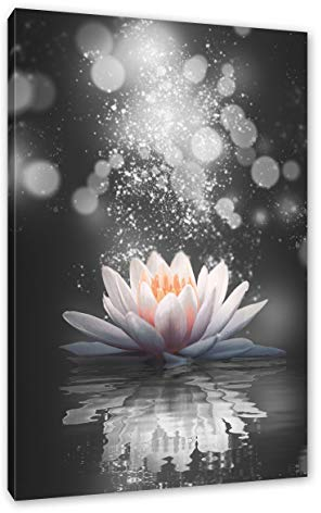 Pixxprint Magische Lotusblüte mit Glitzerstaub B&W Detail, Größe: 80x60cm, Leinwandbild, fertig gespannt, Wandbild, Dekoration, Kunstdruck, kein Poster
