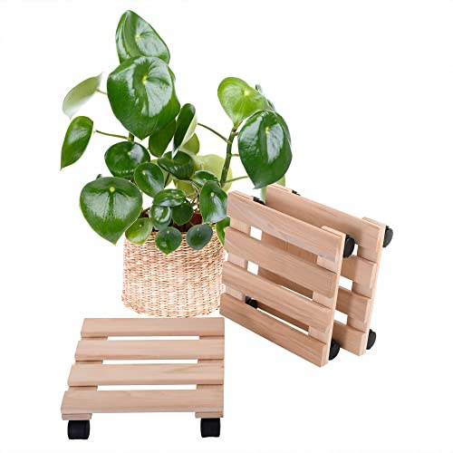 Raburg 3er Set Pflanzenroller BENJO, Buchenholz massiv, eckig, 30 x 30 cm, Tragfähigkeit 120 kg, stabile & praktische Rolluntersetzer für Pflanzen, Kübel & Blumentöpfe, 4 x 360° Doppel-Rollen