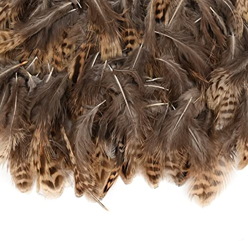 200 Pcs Natural Pheasant Feathers DIY Natural Crafts Feathers Wild Feathers Decoration Brown Natural Chicken Feathers 4-8cm Soft Small Pheasant Feathers for Dream Catcher Crafts Cosplay Party (A)