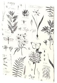 Rössler Papier Schreibpapier 10/10 A5 weiß oder cremefarben Vintage Botanicals 185x250mm