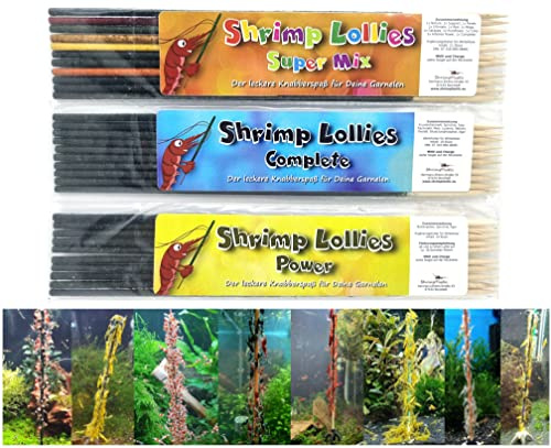Shrimp Lollies Favoriten Set / 31 Lollies/Complete Super Mix Power Garnelen
