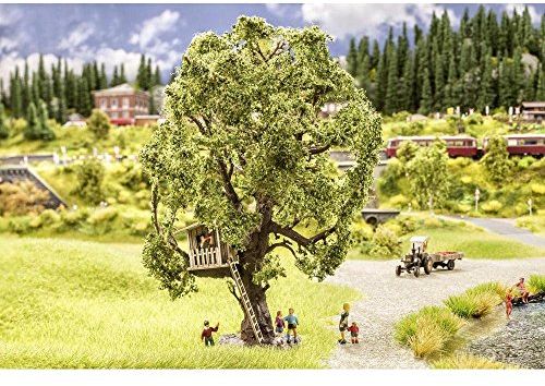 Noch - NOCH - Sumpfeiche