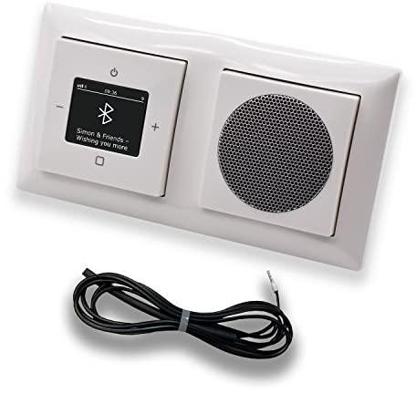 Busch Jäger DAB+ Unterputz Bluetooth Radio 8217U-101 Balance Si alpinweiß Komplett-Set + Lautsprecher + 0,9 m EBROM Wurfantenne zur Empfangsoptimierung - 8217 U -101 BT Radio