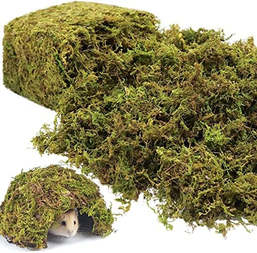 Riare 14OZ Natural Moss Artificial Fake Moss Alternative for Plants Indoor