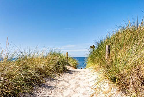 Magnettafel Pinnwand XXL Bild Strand Düne Strandweg Größe 100 x 80 cm