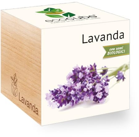 Feel Green New Grow Your Own, Lavanda