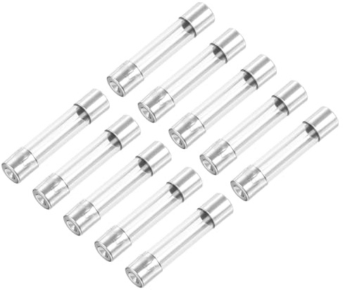 QUARKZMAN 10 Stück AC 250V 10A 6 x 30mm Glassicherungen Silberton | Schnellwirkende Glasröhren, Für Schutzschaltungen