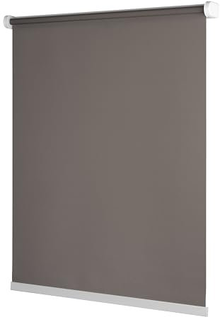 Ventanara® Rollo ohne Bohren schnurlos Springrollo inklusive Klemmträgern (grau (tageslicht), 110 x 150 cm)