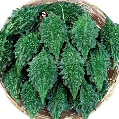 Bolder Bitter Gourd Korola - Small Karela Seeds for Planting - 10 Seeds