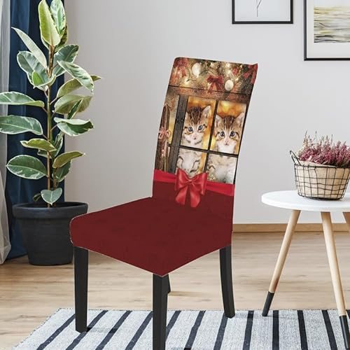 Siebe Stuhlhussen Niedliche Katze Stuhlhussen Entfernbare Waschbare,Essstuhl Stuhlbezug Beschützer,Esszimmer, Zeremonie, Bankett,Stuhlüberzug Universal(8Er Set)