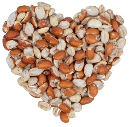 Lyra Pet® | 25 kg Erdnusskerne Splits Teilblanchiert | HK Argentinien | Erdnüsse Blanchiert & mit Haut | Gourmetsnack für Wildvögel | Nährstoffreicher Energiespender für Körnerfresser | Streufutter | Ballaststoffreiches Wildvogelfutter - Teilblanchierte, geteilte Erdnüsse - Ideal im ganzen Jahr - Energiequelle für Wildvögel