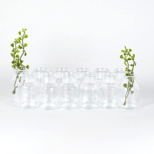 gouveo 12er Set Mini-Glasvase 30 ml (0,03 l) rund im Bottle-Design ohne Verschluss – Klarglas Bud Vase für einzelne Stiele, Trockenblumen und Dekoglas zum Befüllen (CBVT030)