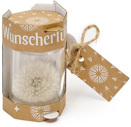 Garronda Wunscherfüller - Elegante Pusteblume im Glas 2 Stück, Charmante Kleine Geschenke für Frauen, Kreative Geschenkideen für Geburtstag GD-0077