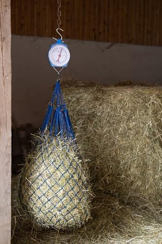 Zeigerschnellwaage 25kg Farbe blau