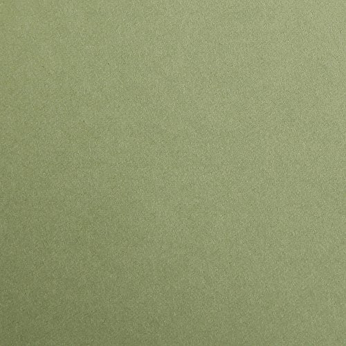 Clairefontaine 397170C 250 Bögen Zeichenpapier Maya 50x70cm 120g Laubgrün