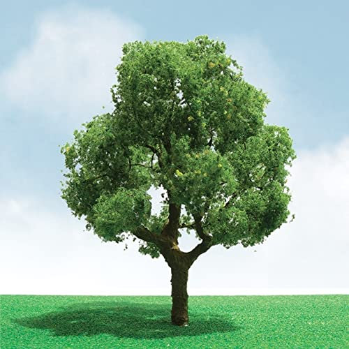 Pro-Elite Tree, Deciduous 5.5