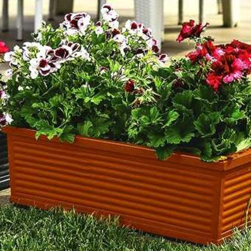Decorspace Balkonkasten, rechteckig, aus Kunstharz, Dekoration für Blumen und Pflanzen, Made in Italy (60 cm, Terrakotta)