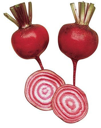 Burpee Chioggia Beet Seeds 200 seeds