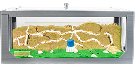 AntHouse - Natürliche Ameisenfarm aus Sand | 3D Grau Big Starter Set 30x15x10 cm | Inklusive Ameisenkolonie