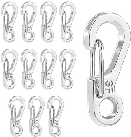Molain Mini Karabiner Set, Winziger Karabinerhaken, 12pcs Karabinerhaken aus Metall, Karabiner Klein Schlüsselkaraniner für Camping Ring Clip Haken Leichte Kleine Karabiner