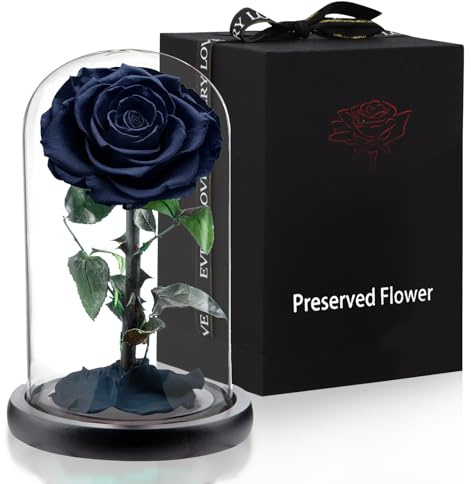 APKOL Echte Ewige Premium Rose im Glas Kuppel, Infinity Rose Geschenke für Frauen, Rosen Geburtstagsgeschenk für Frauen, Geschenke für Freundin,Geschenke für Mama, Geburtstage,Schwarz