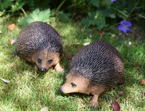 Set of 2 Hedgehog Garden Ornaments Lifelike Animal Sculpture Resin Patio Decoration for Indoor home Decorative Figurine Outdoor yard Law art Decor,Gifts Christmas birthday adorable brown HEDGEHOGS