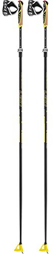 LEKI Skistock Unisex Adult Sports 165, Mehrfarbig